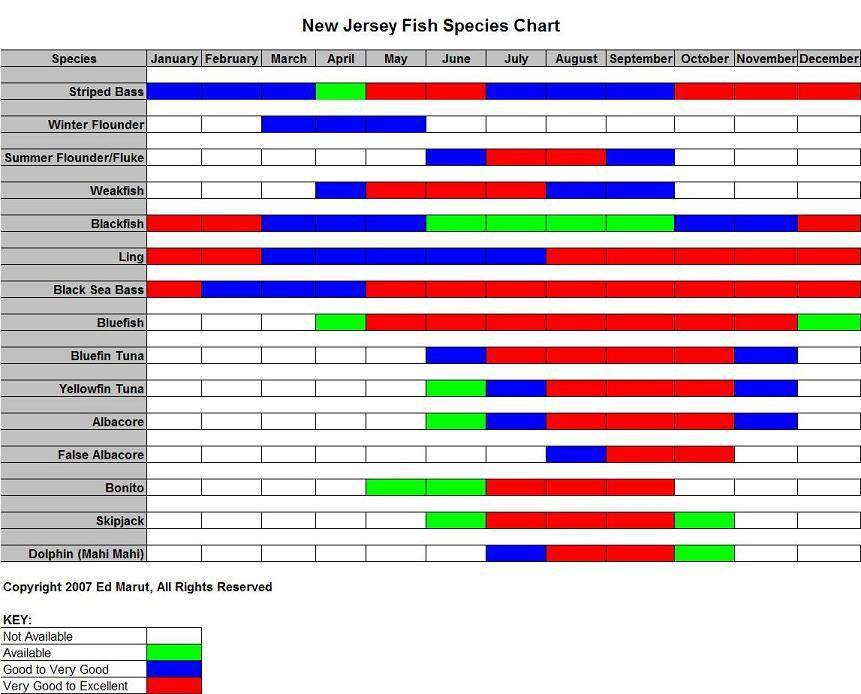 Nj Fish Chart
