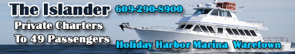 The_Islander_Banner The_Islander_Banner .png