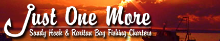 justonemore_banner.png