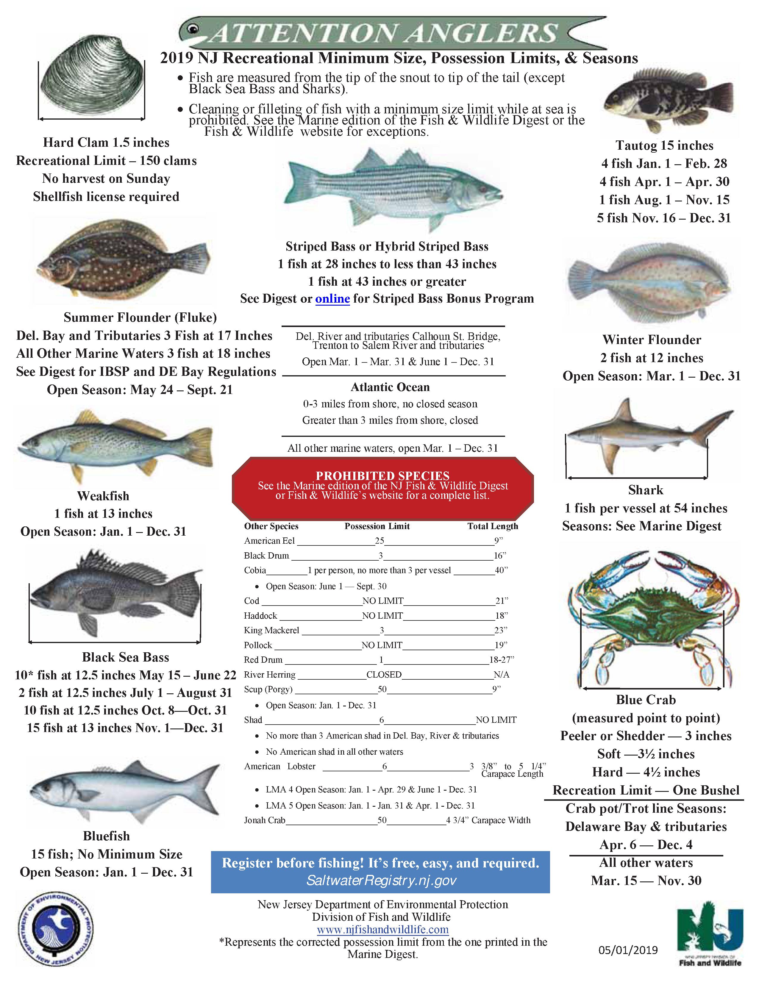 NJ Saltwater Fisherman Your 1 Source For Fishing In NJ