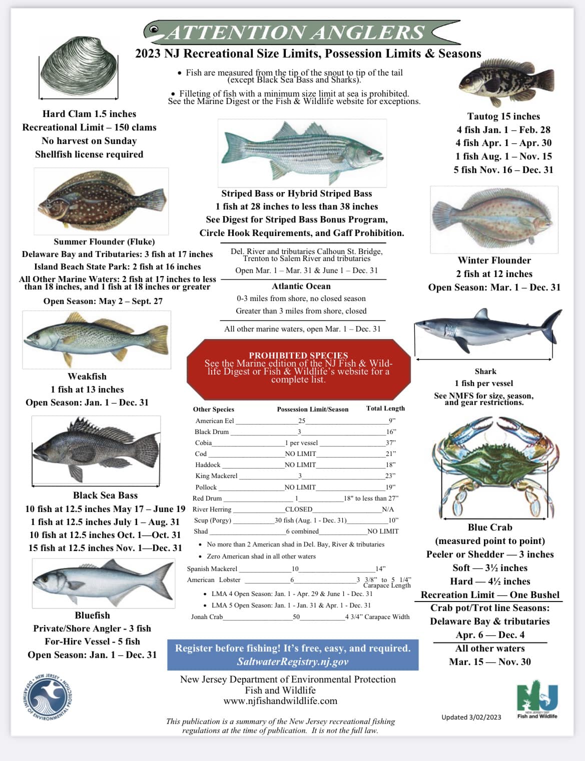 2023 NJ Saltwater Fishing Regulations