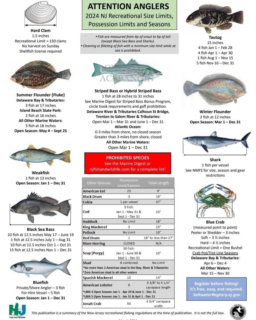 2024 NJ Saltwater Fishing Regulations