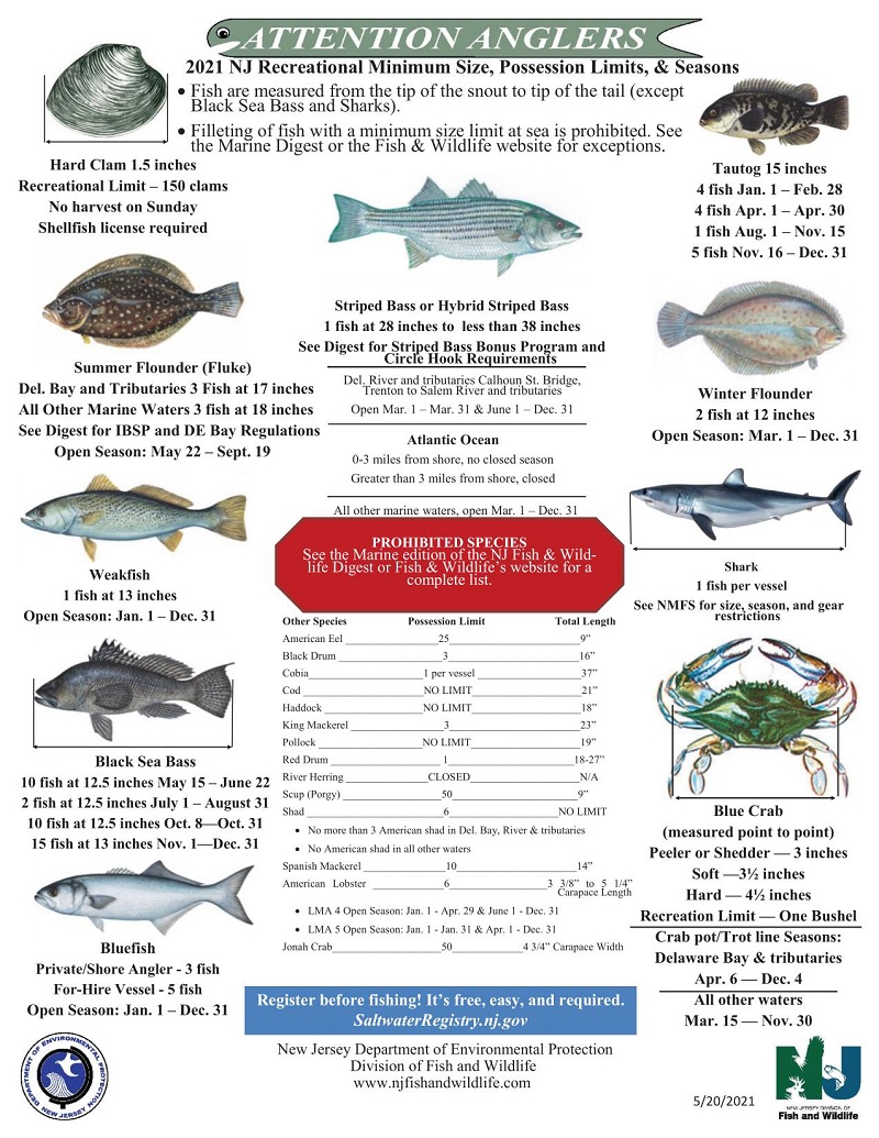 3 Day Saltwater Fishing License Alabama Where To Buy A Fishing