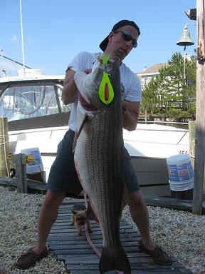Bunker Chunking Delaware Bay For Big Stripers - On The Water